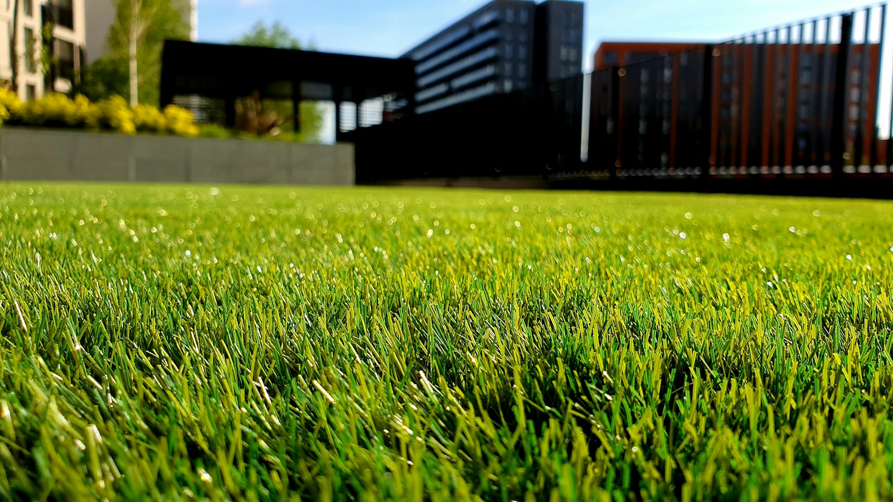 DeLuca Landscaping Co., Inc. public website photograph
